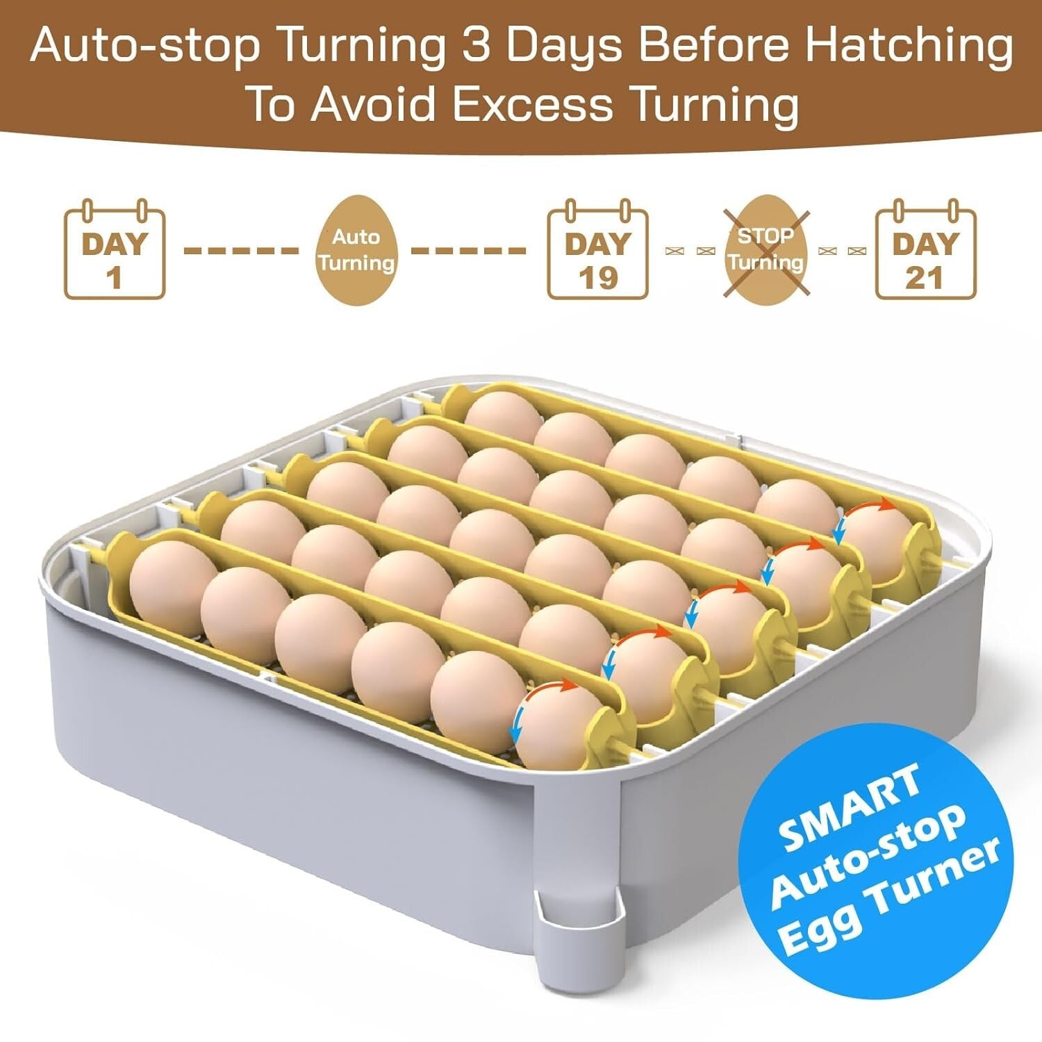 Advanced 30 Egg Incubator with Built-In Candler and External Water Refill