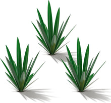 Load image into Gallery viewer, Waterproof 3-Pack Metal Tequila Agave Sculptures for Indoor/Outdoor Decor