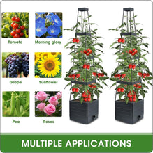 Load image into Gallery viewer, Self-Watering Tomato Planter with Adjustable Trellis - 2 Pack for Indoor/Outdoor
