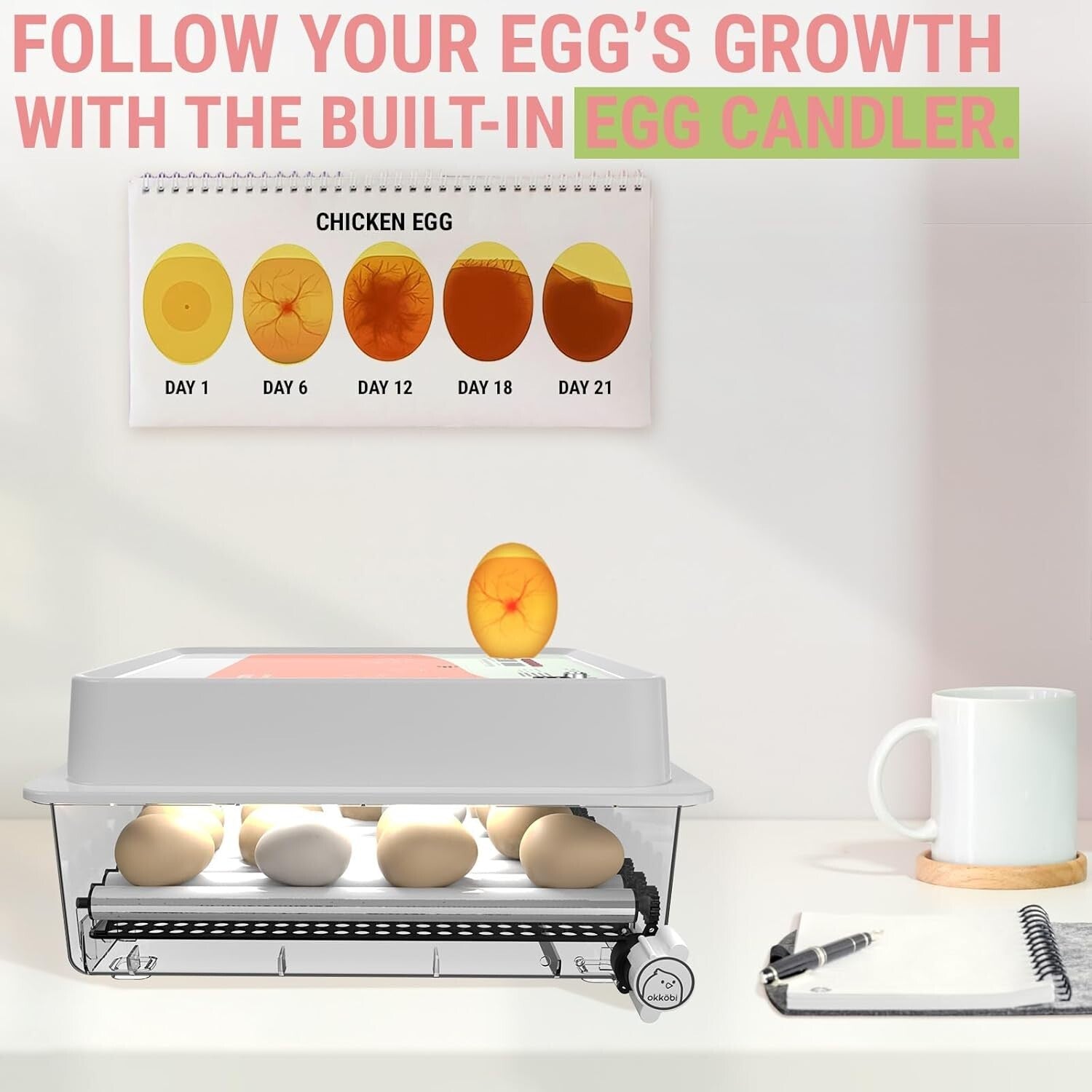 36 Egg Hatching Incubator with Digital Control & Integrated Egg Candler Included