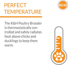 Load image into Gallery viewer, Thermo-Poultry 40W Brooder Heater for Up to 30 Chicks - MET Certified Safety