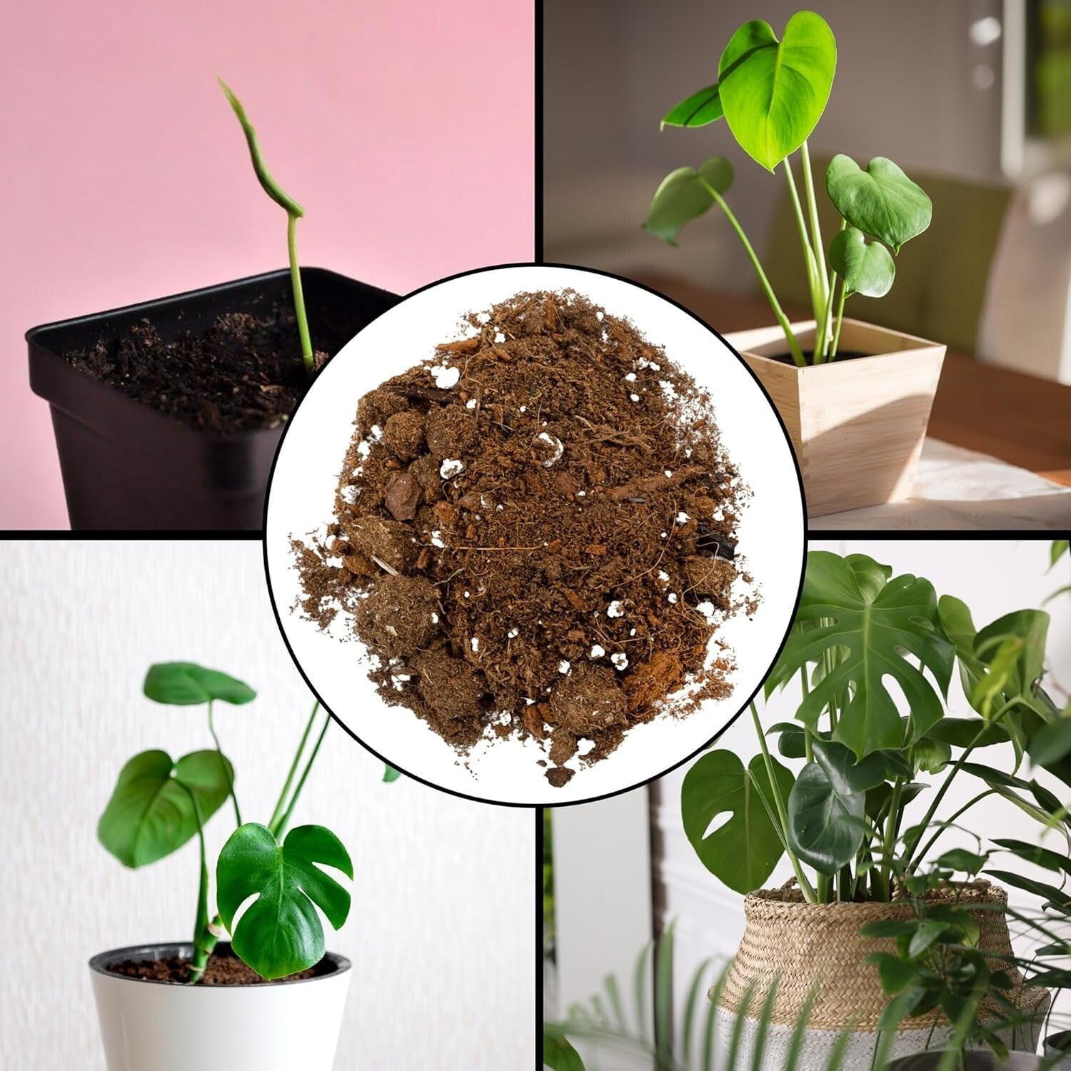 Custom Monstera Potting Soil Mix 30 Quarts - Perfect for Thriving Growth