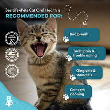 Load image into Gallery viewer, Natural Cat Dental Care &amp; Fresh Breath Remedy - 400 Tiny Pills for Oral Health