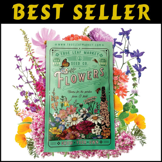 Premium 5 Lb Wildflower Seed Mix - Attract Pollinators with 23 Non-GMO Varieties