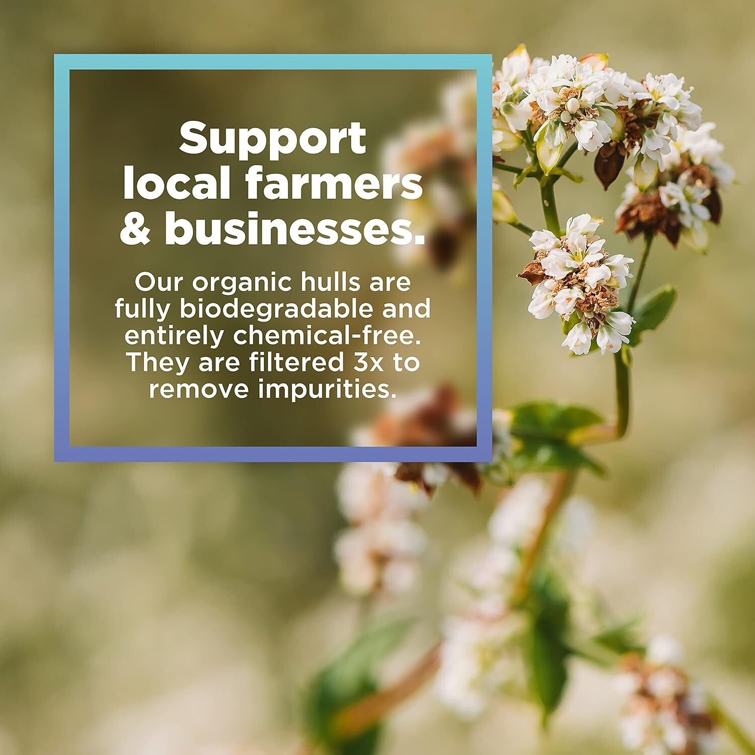 Natural 20 lbs Buckwheat Hulls - Eco-Friendly Filling for Pillows & Crafts