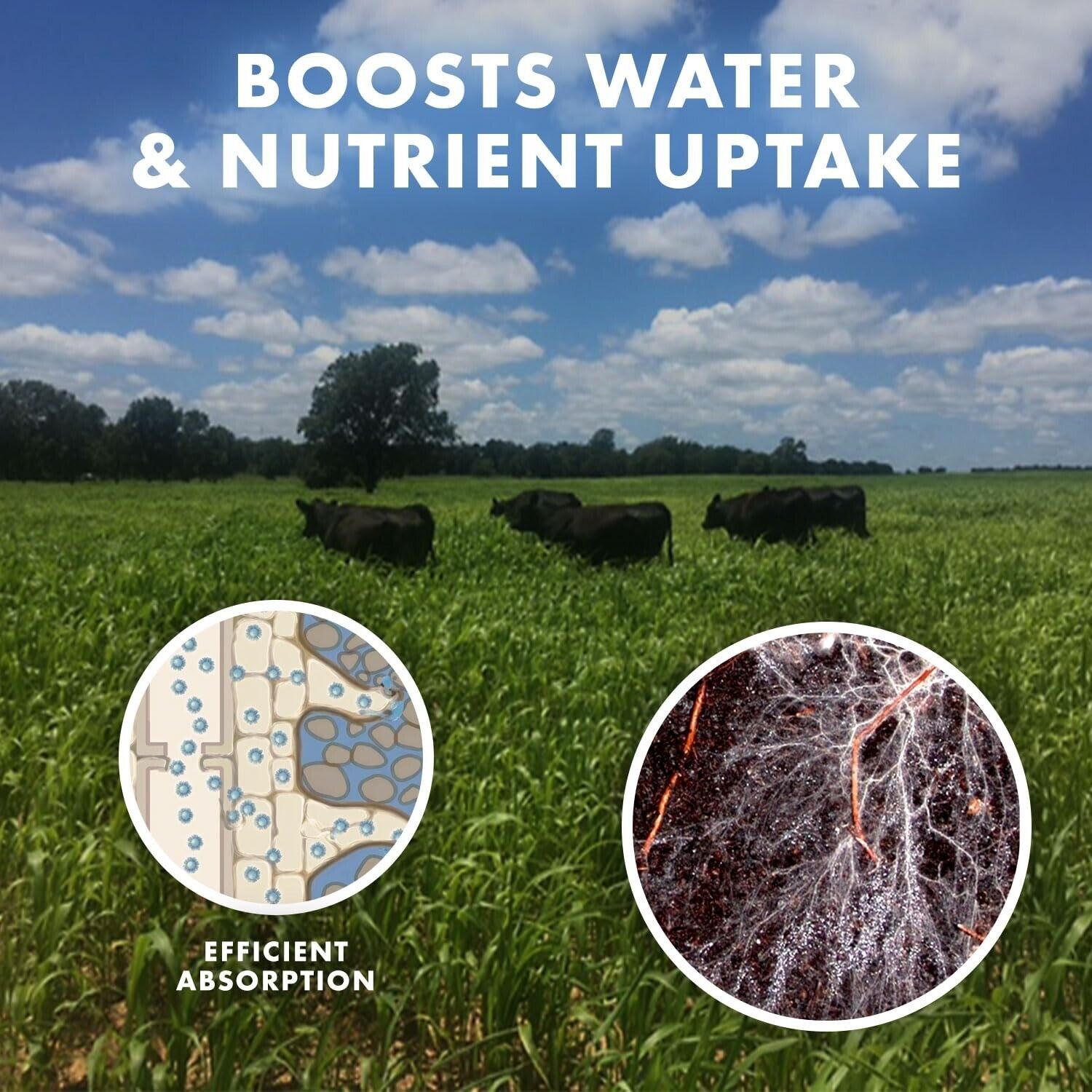 16 Species Mycorrhizae Inoculant - 1 lb Enhances Plant Growth & Saves Water