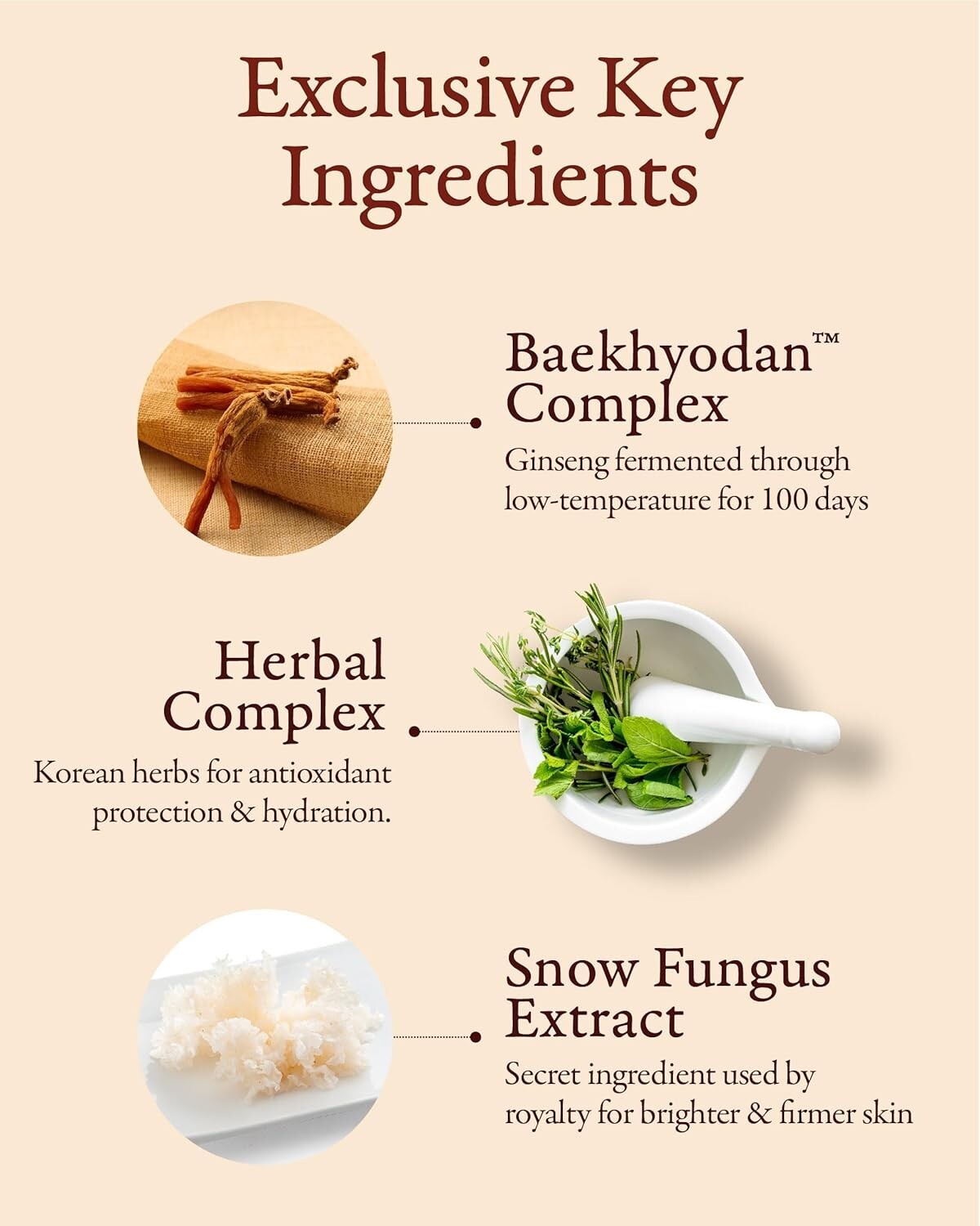 Hyobidam Premium Fermented Skincare Set with Wild Ginseng - 13.53 fl oz