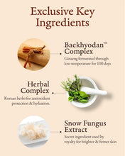 Load image into Gallery viewer, Hyobidam Premium Fermented Skincare Set with Wild Ginseng - 13.53 fl oz