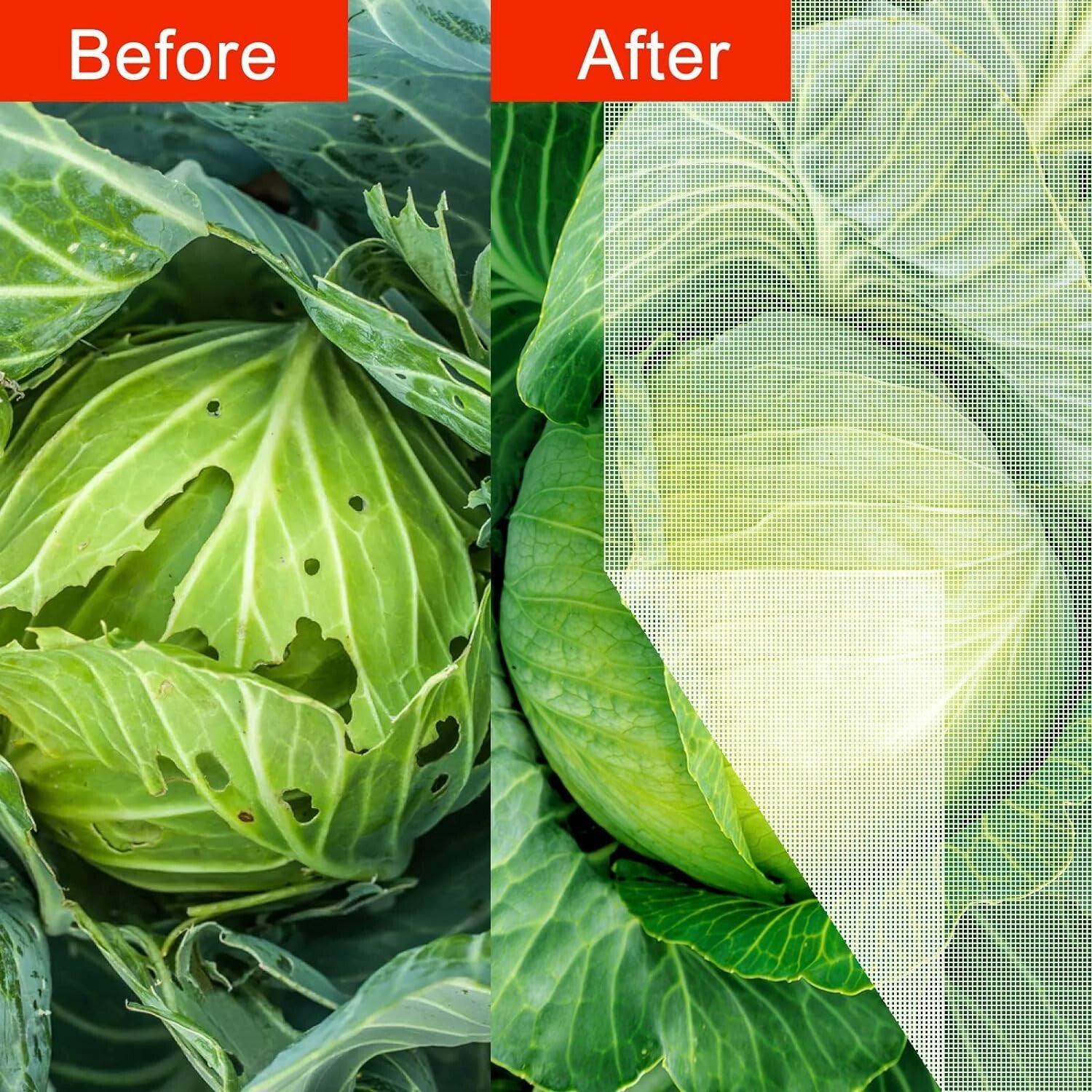 Breathable HDPE Bird Netting for Vegetables & Fruits 6.5'x50' - Flexible Design