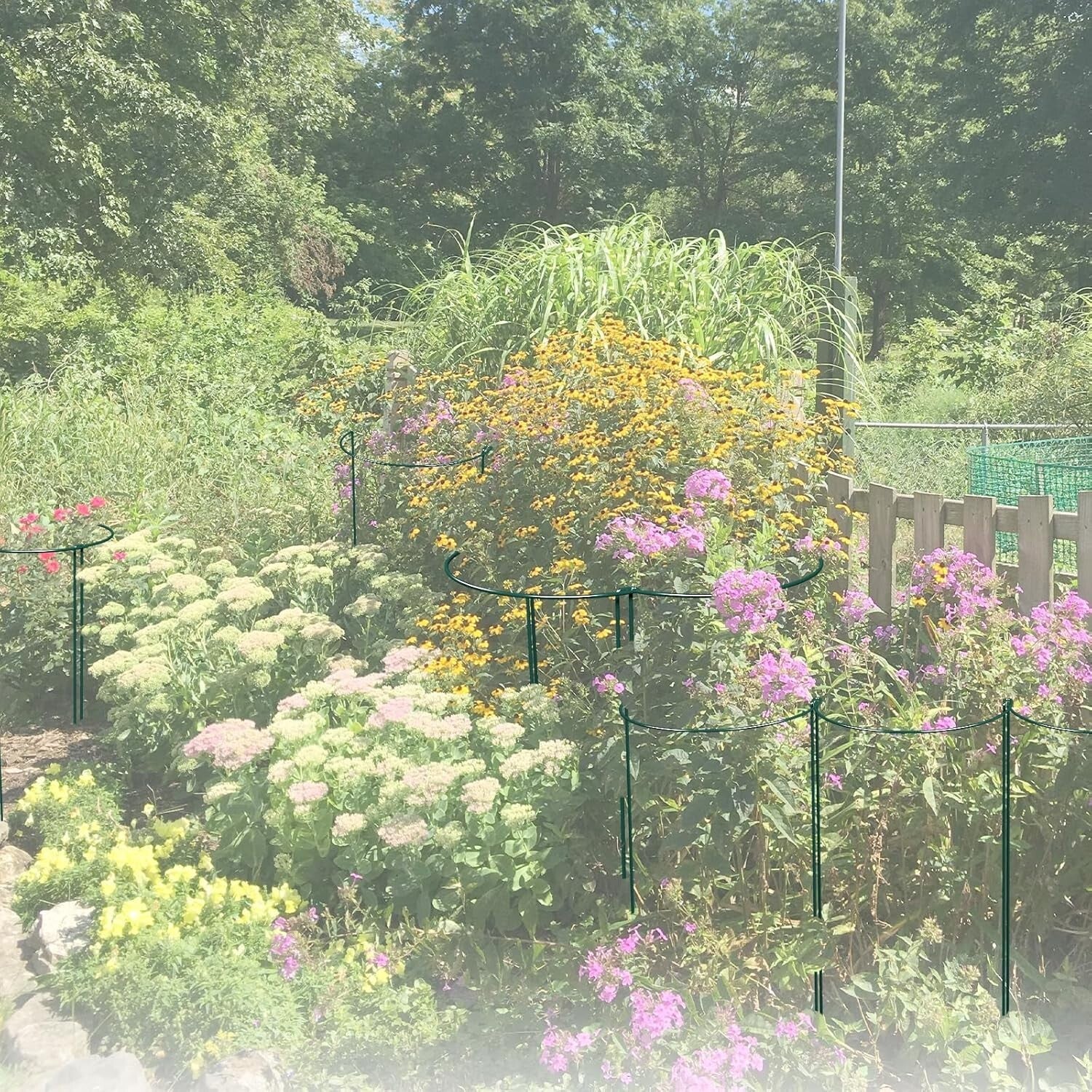 30-Inch Adjustable Garden Support Stakes - 12 Heavy-Duty Iron Stakes for Plants