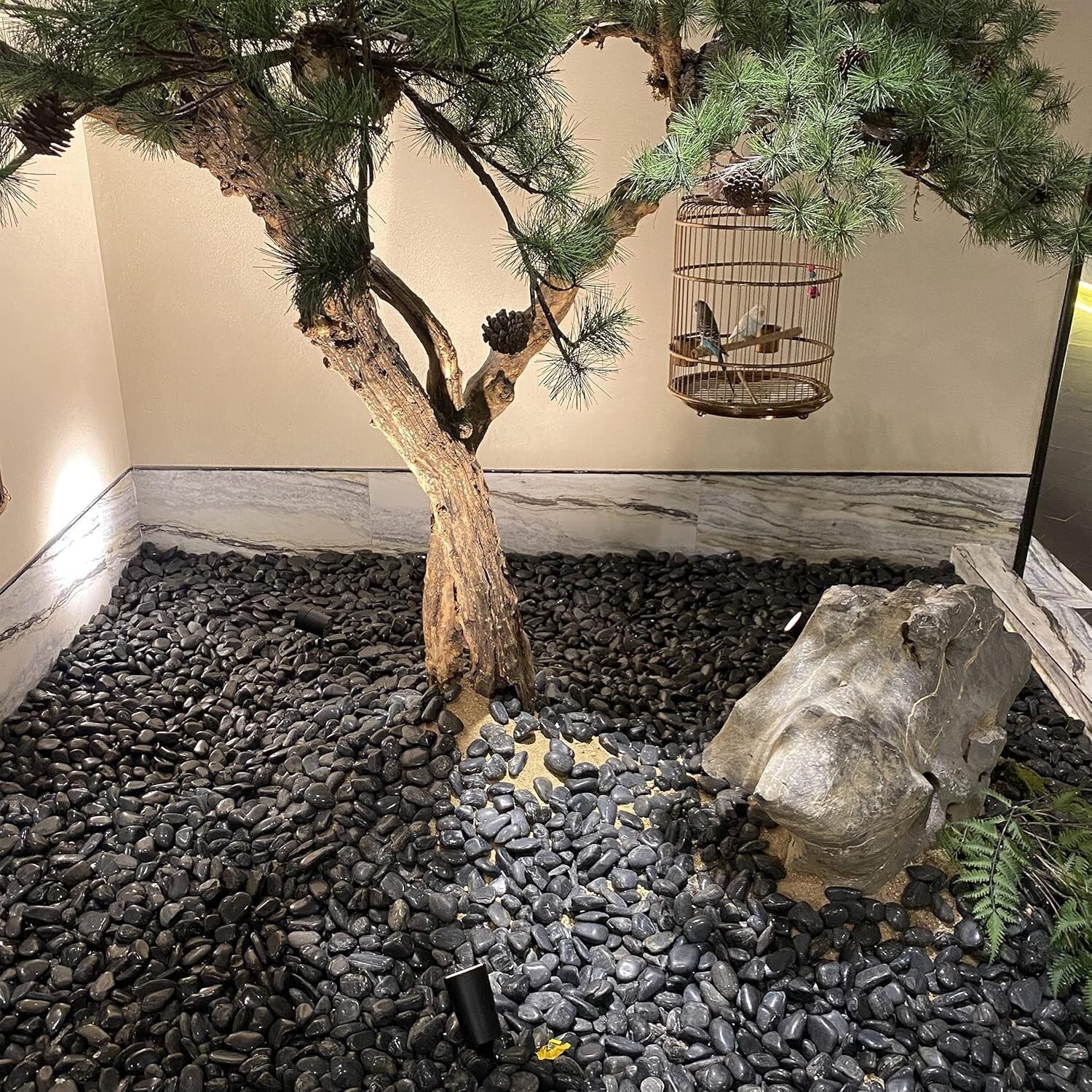 Premium Black River Pebbles - 40lbs for Aquariums, Gardens & Planters - 2-3 Inch