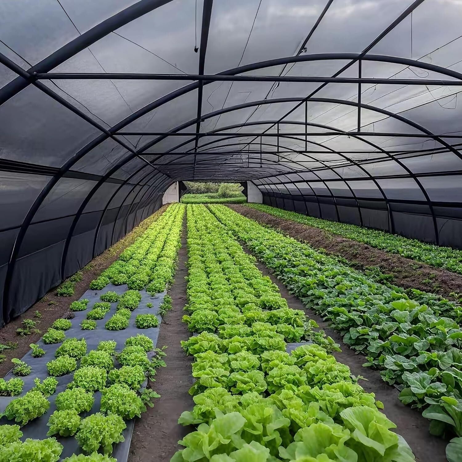 Heavy-Duty Black Shade Cloth 30x50 FT with Reinforced Grommets - Outdoor Comfort