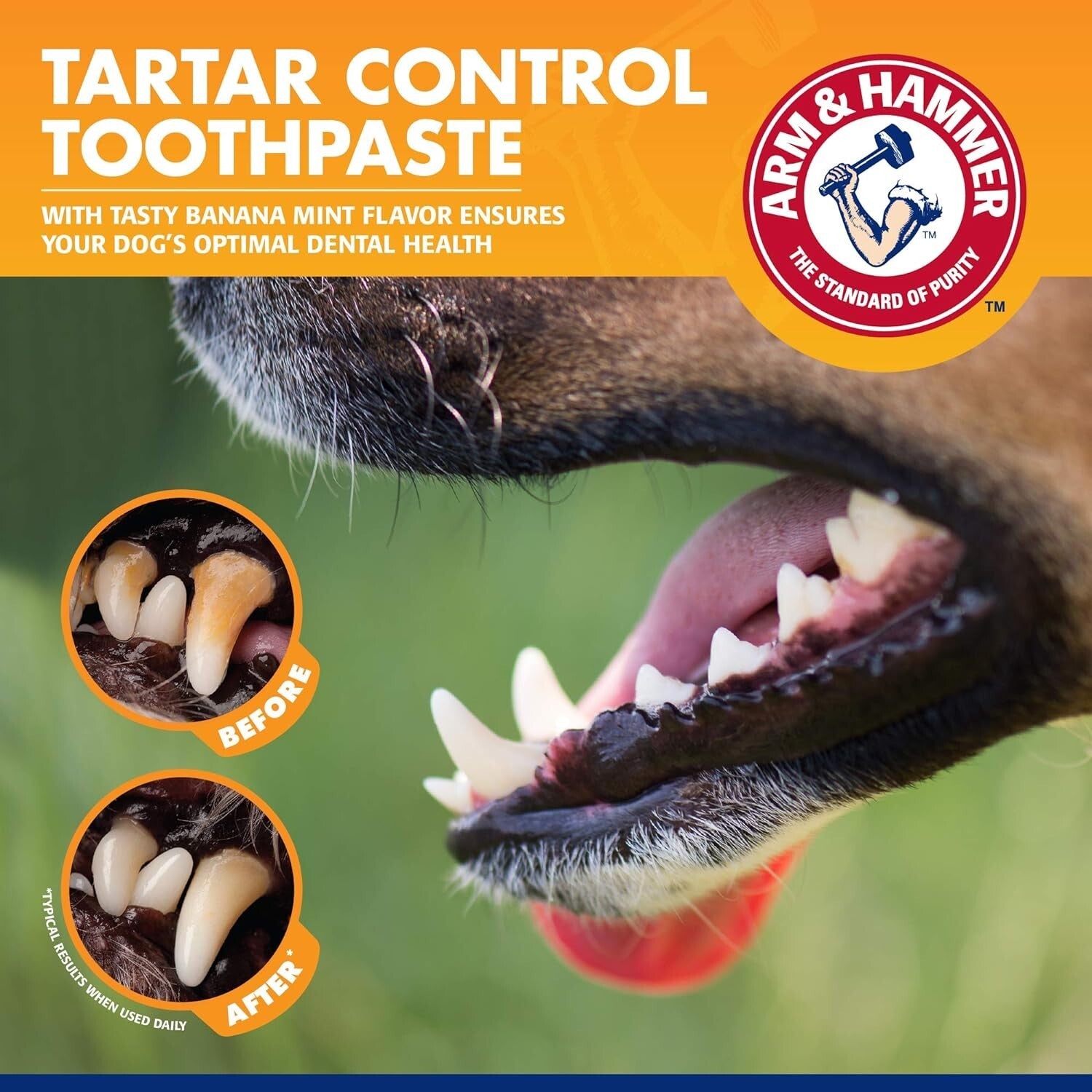 Premium Dog Dental Kit with Enzymatic Toothpaste & Safe Fingerbrush - 48 Count