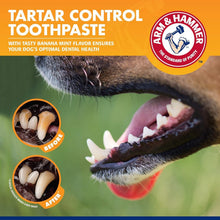 Load image into Gallery viewer, Premium Dog Dental Kit with Enzymatic Toothpaste &amp; Safe Fingerbrush - 48 Count