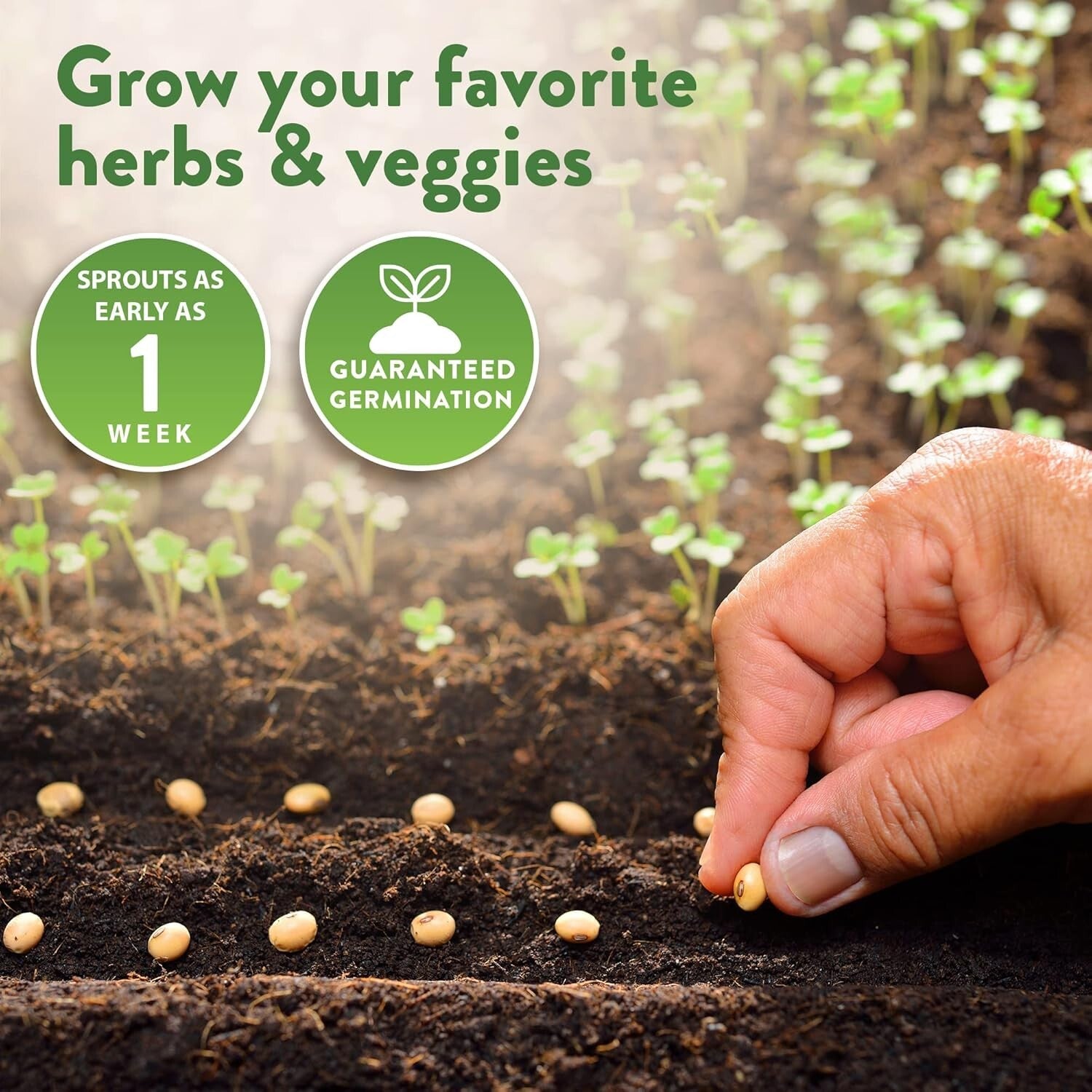 Explore 70 Varieties of Heirloom Seeds: The Ultimate Prepper’s Garden Kit
