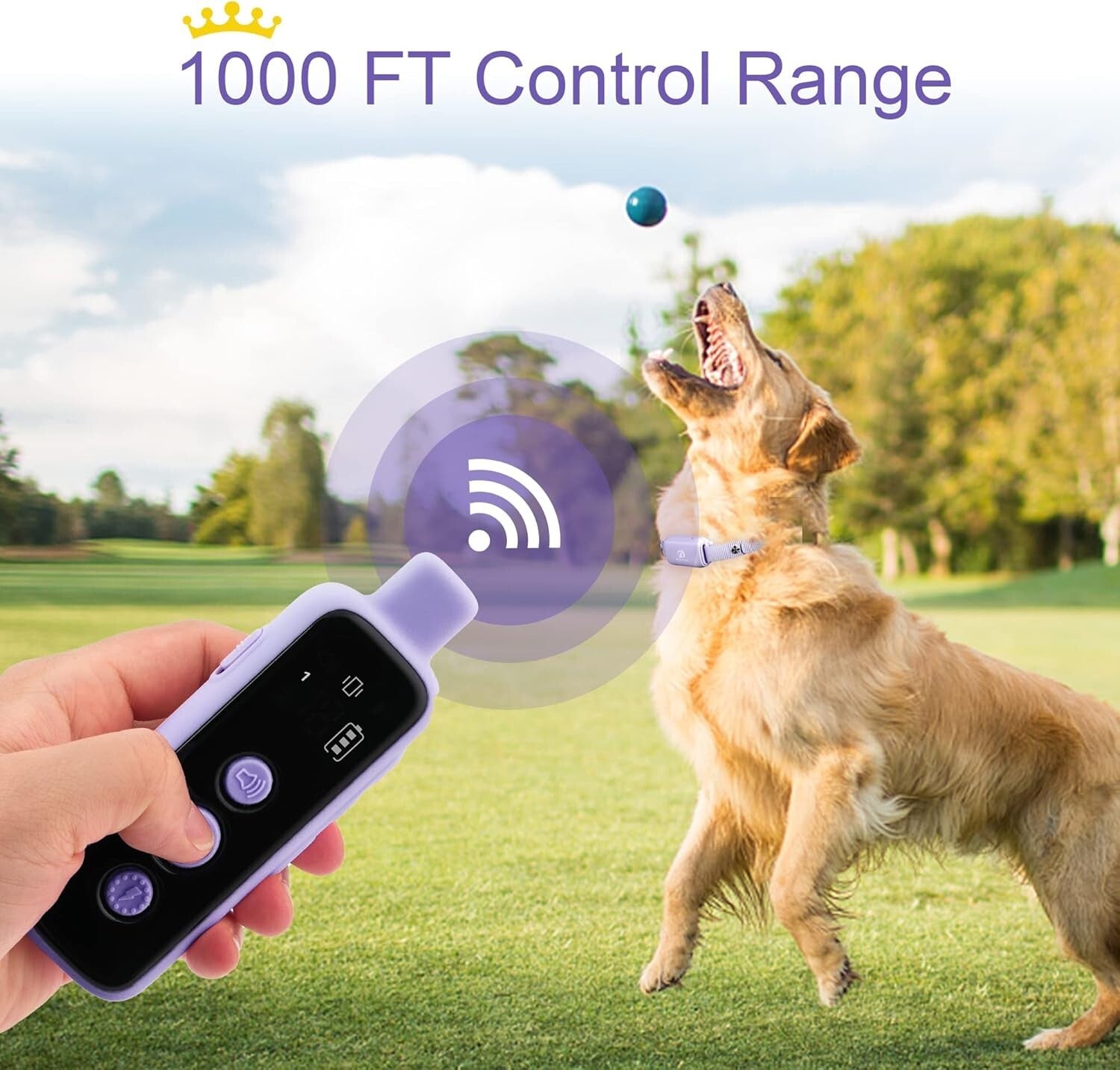 Dynamic 2-Dog Training Collar Set - Waterproof, Lightweight, and Effective