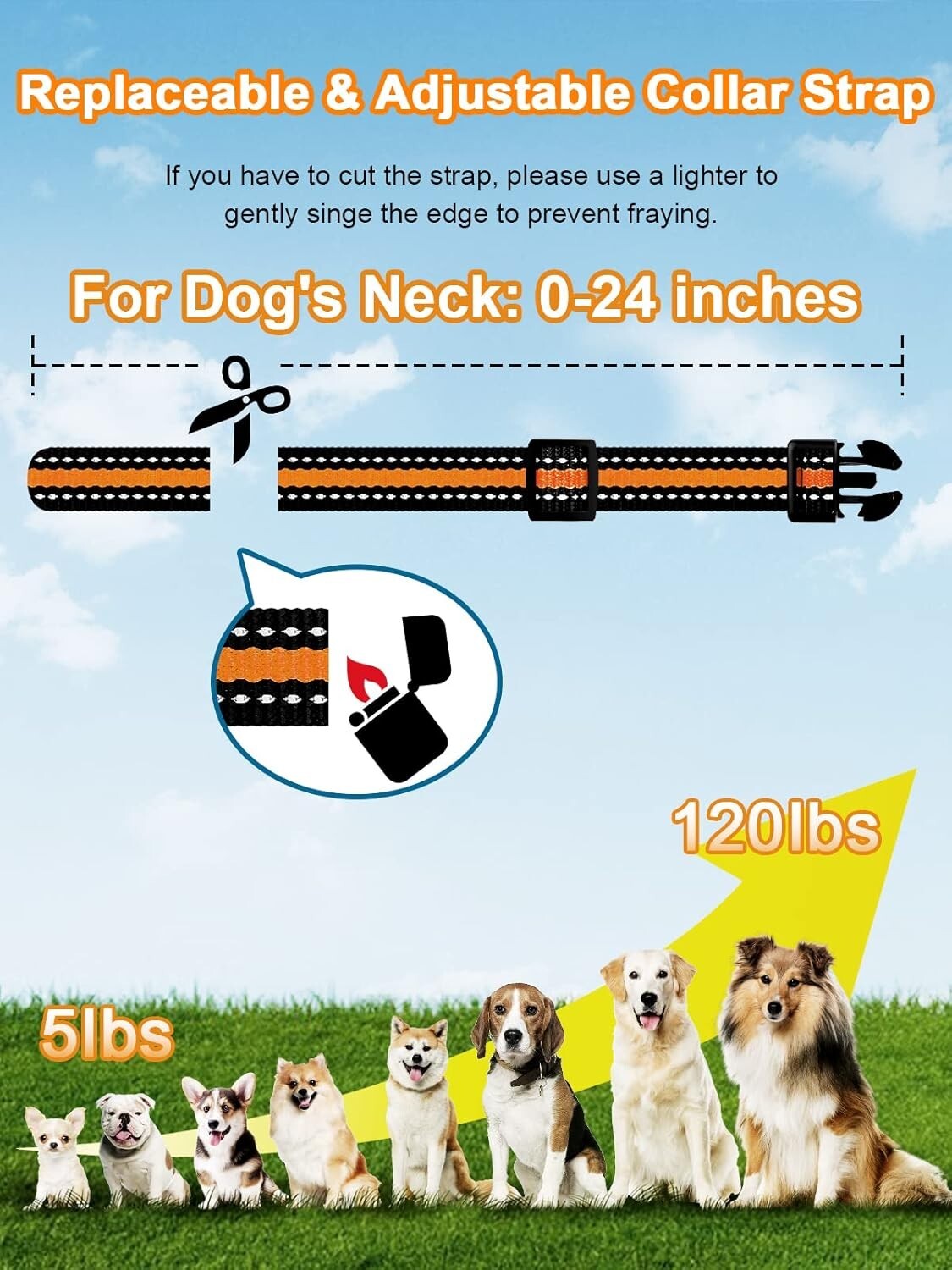Dual Channel Training Collar with 3300 ft Range - Waterproof & Adjustable Modes