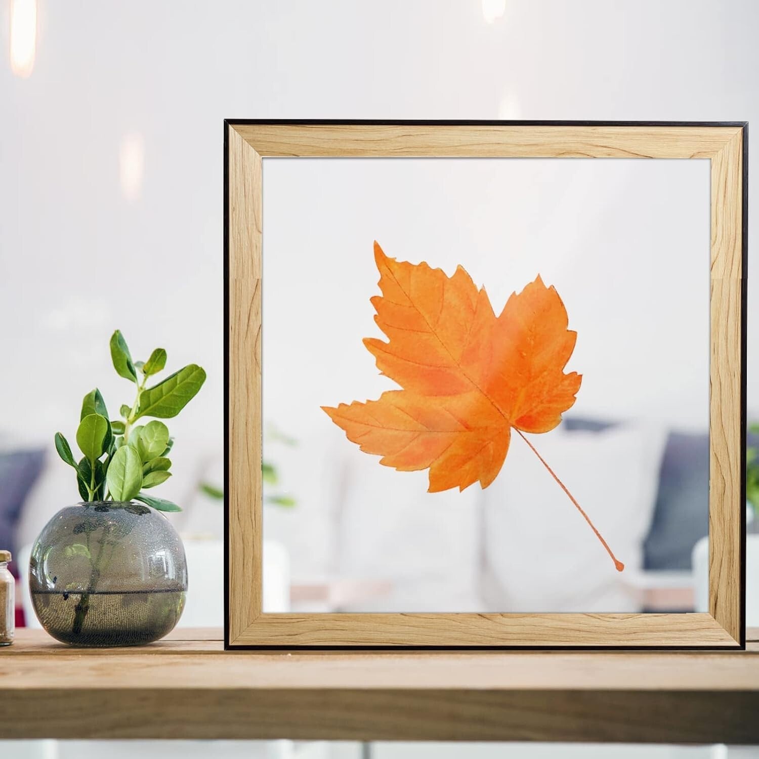 Versatile 6 Pack of 24x36 Plexiglass Sheets for DIY Pet Projects & Crafts