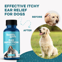 Load image into Gallery viewer, Comprehensive Ear Infection Cure for Pets - 100% Natural Ingredients, 400 Pills