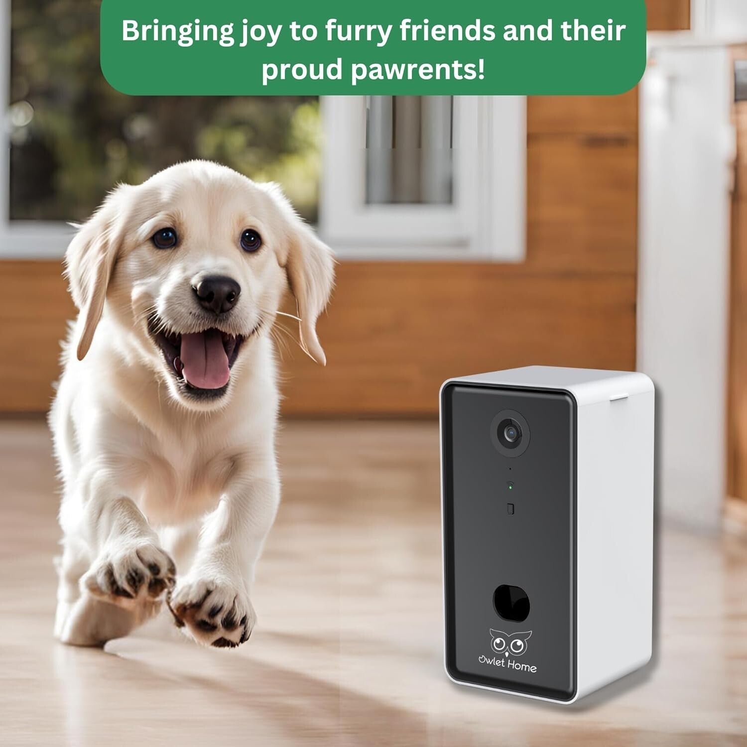 Interactive Pet Camera with Motion Detection, Treat Tossing & 1080P Video