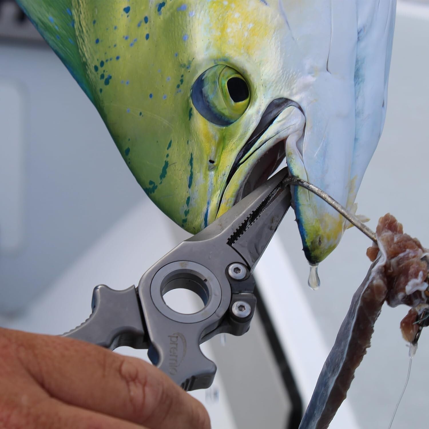 Durable 6.5" Titanium Fishing Pliers: Perfect for Inshore & Nearshore Adventures