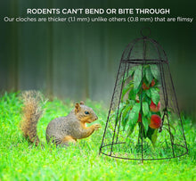 Load image into Gallery viewer, 12x20 Inch Rustproof Garden Cloches - Pack of 6 for Ultimate Plant Protection