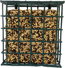Load image into Gallery viewer, Songbird Treats: Sunny Mealworm Seed Bars - 12 Pack of 7 oz, Attracts Wild Birds