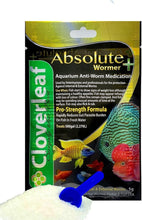 Load image into Gallery viewer, Flubendazole-Based Wormer Plus for Freshwater Fish Parasite Control - 10 Grams