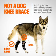Load image into Gallery viewer, Breathable Neoprene Dog Hock Brace, ACL &amp; CCL Support for Large Breeds, 1 Pair