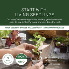 Load image into Gallery viewer, Medium Hydroponic Vertical Planter with 24 Pre-Sprouted Plants - Easy Gardening