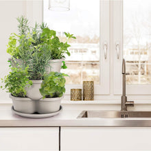 Load image into Gallery viewer, Durable Off-White 5-Tier Vertical Planter for Easy Indoor/Outdoor Gardening