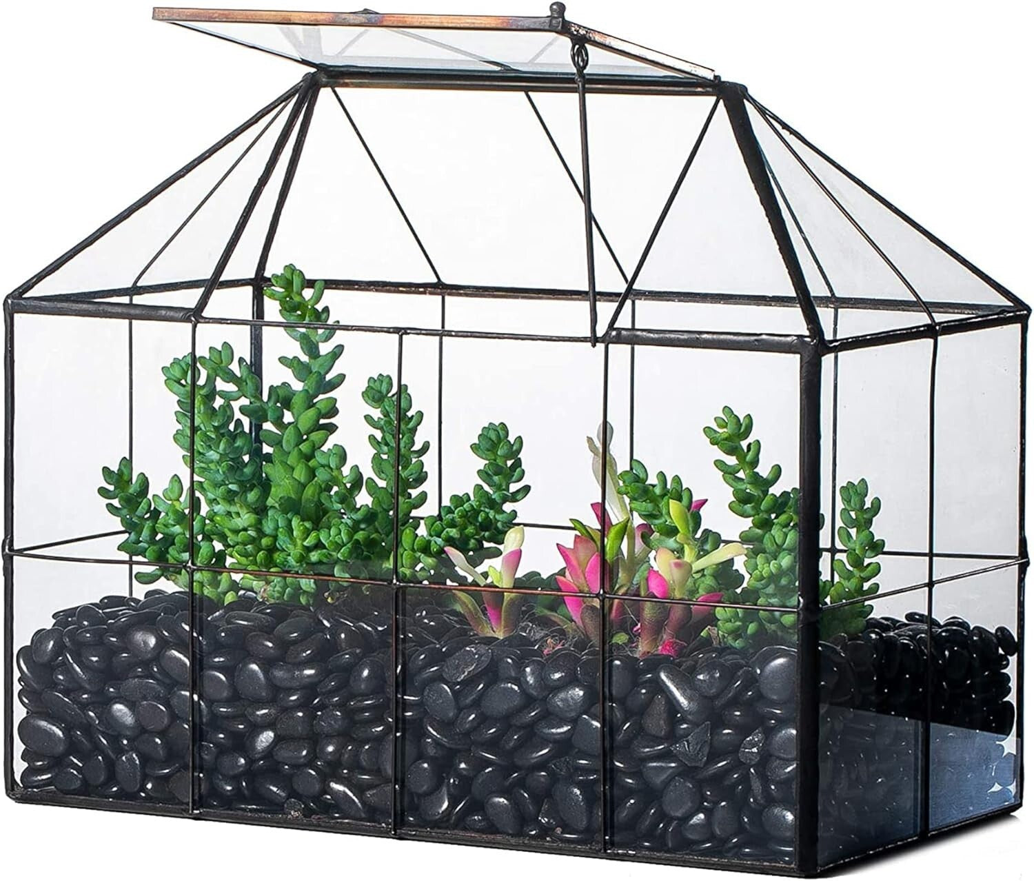 9.84 x 5.31 x 7.87 Black Glass Terrarium - Perfect for Indoor Cacti & Succulents