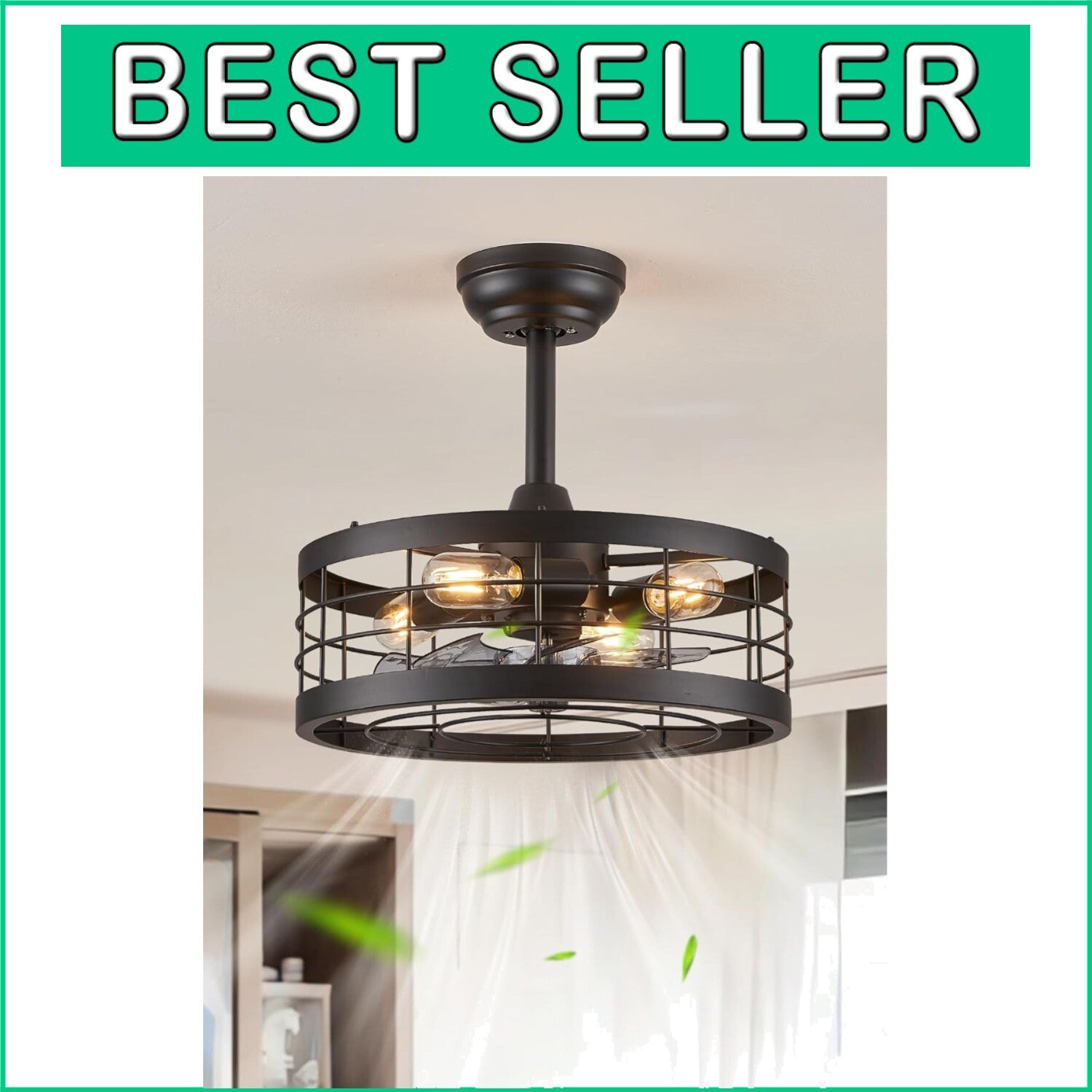 16.5'' Black Caged Ceiling Fan with Remote & LED Light for Stylish Living Spaces