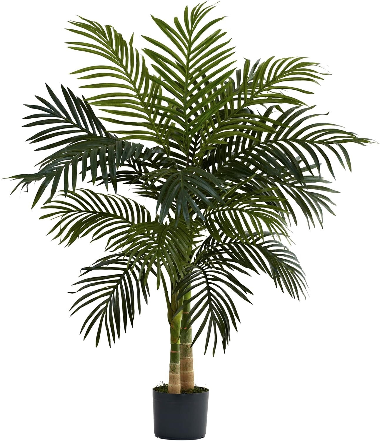 Elegant 4ft Golden Cane Palm Tree - Perfect for Home or Office Aesthetics