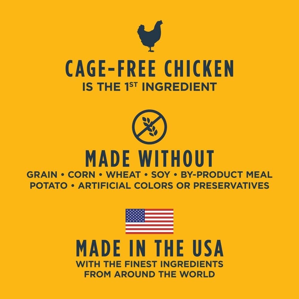 High Protein Dry Cat Food with Raw Chicken - Grain-Free, 10 lb for All Breeds