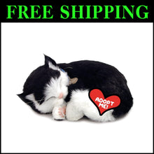 Load image into Gallery viewer, 10.75 Inch Lifelike Stuffed Black &amp; White Kitten - Ideal for Pet Lovers and Kids