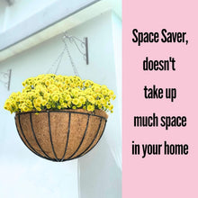 Load image into Gallery viewer, Rust-Resistant 20" Black Metal Wire Hanging Planter with Coco Liners - Set of 2