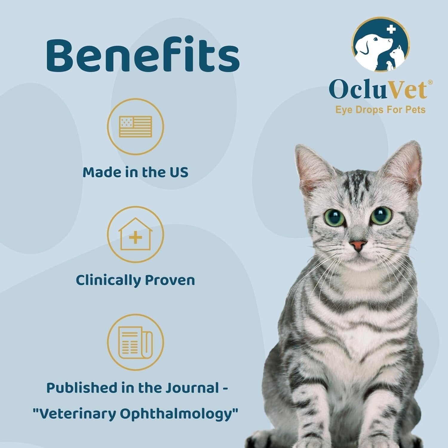 Superior Eye Health for Pets with Antioxidants | 16mL N-Acetyl-L-Carnosine Drops