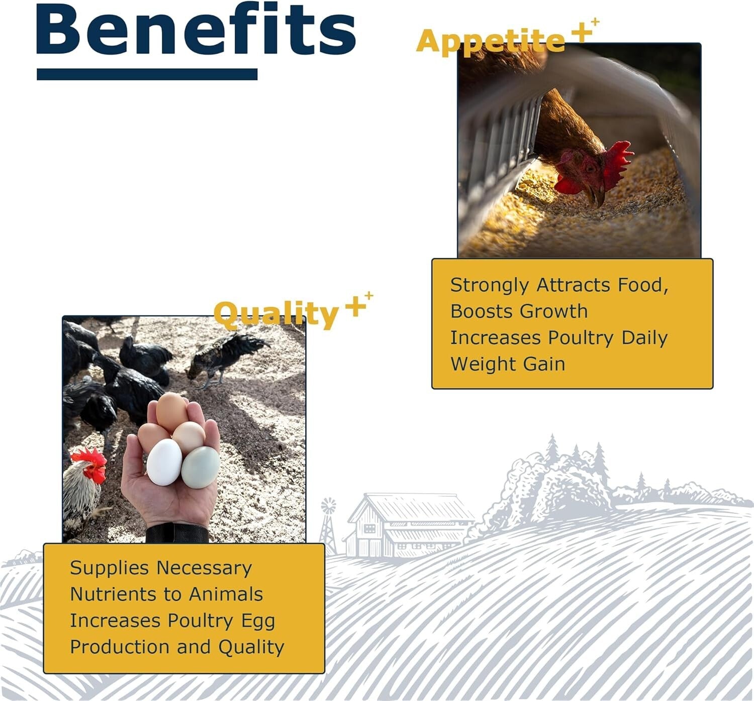 10LB Dried BSF Larvae - High-Protein, Natural Feed for Poultry, Birds & Reptiles