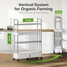 Load image into Gallery viewer, Space-Saving Hydroponic Garden with 60 Pods &amp; Full Spectrum LED for Home Use