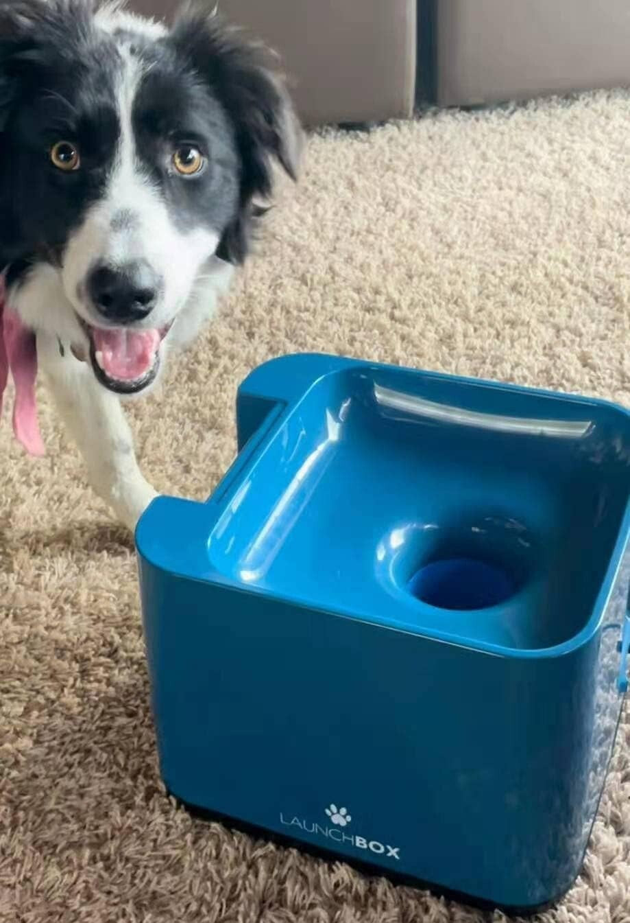 Rechargeable Automatic Tennis Ball Thrower for Medium & Big Dogs - 3 Balls