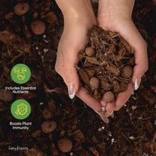 Load image into Gallery viewer, Molly's Aroid Mix: Premium Soilless Potting Mix for Indoor Plants, 10 Dry Quarts