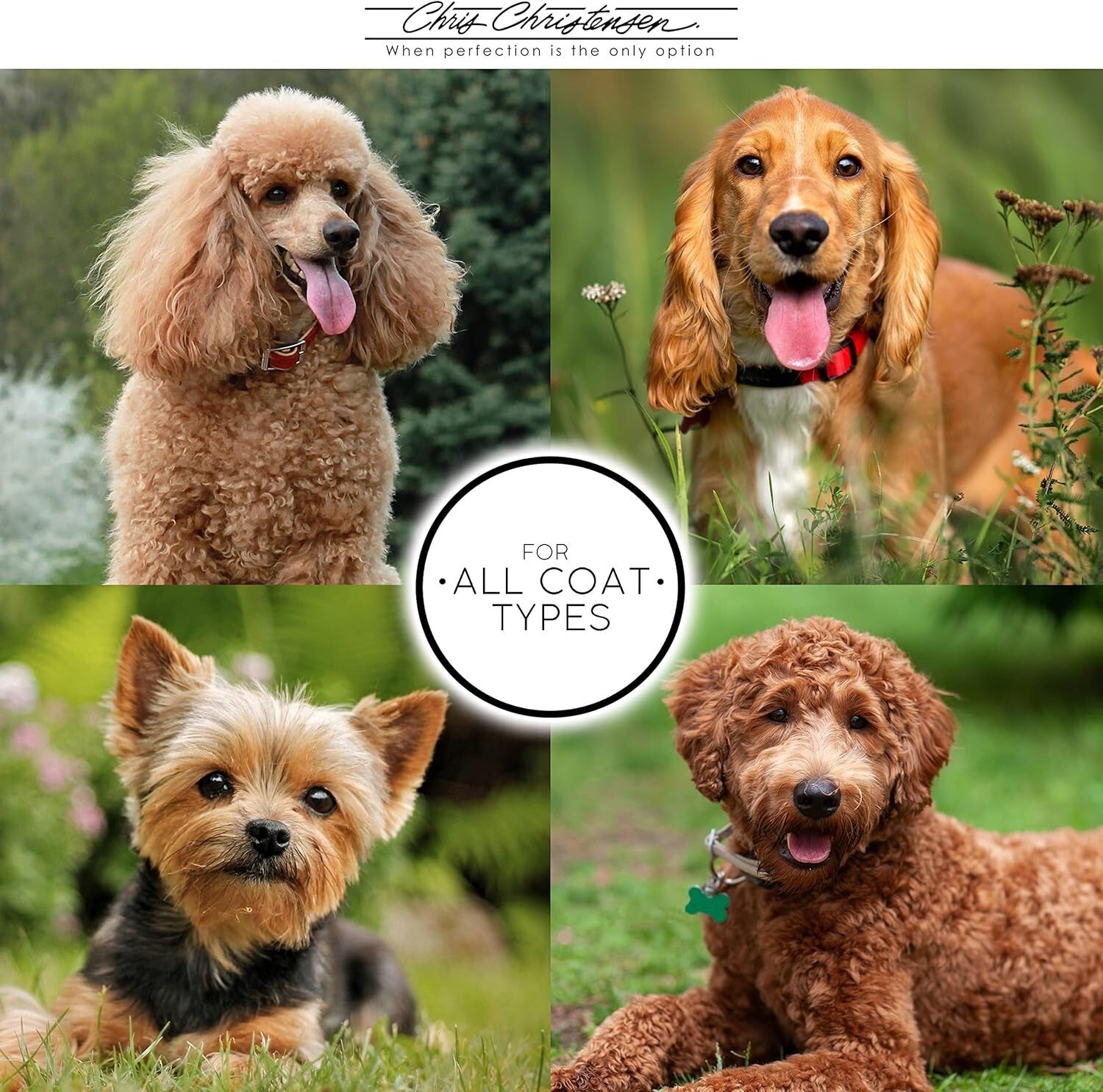 Elegant 6in Cat/Carding Comb with High-Quality Brass and Steel Construction