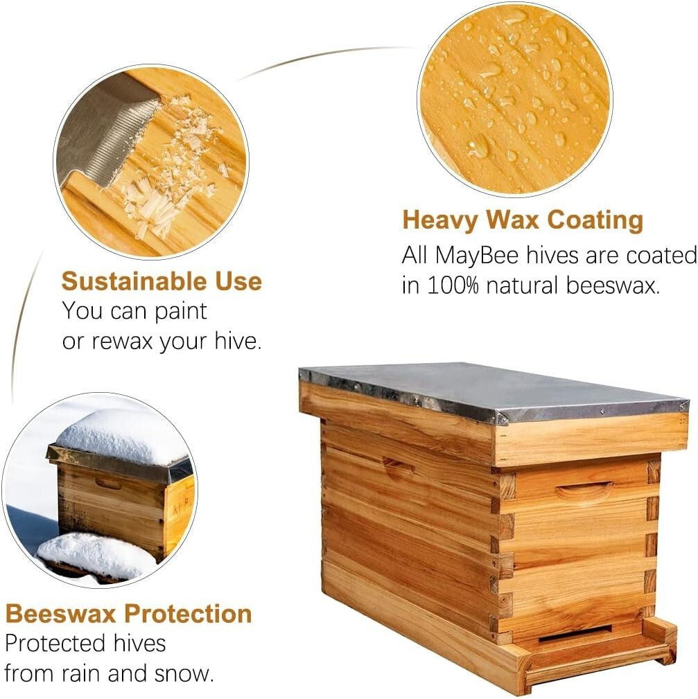 Elegant 5-Frame Beehive with Waterproof Metal Roof – Perfect for New Beekeepers