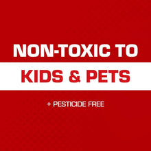 Load image into Gallery viewer, Pesticide-Free Glue Traps with Eugenol - 12-Pack for Effective Pest Control