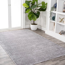 Load image into Gallery viewer, Modern Solid Grey Indoor Area Rug 4' x 6' - Low Pile, Stain Resistant &amp; Pet Safe