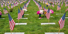 Load image into Gallery viewer, Patriotic 24-Pack of Lightweight American Flags on Birch Handles - Garden Ready