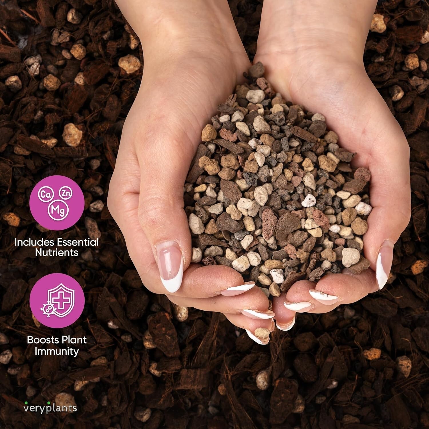 Molly's Premium Succulent Mix - Gritty Soilless Soil for Cacti & Bonsai 5 Quarts