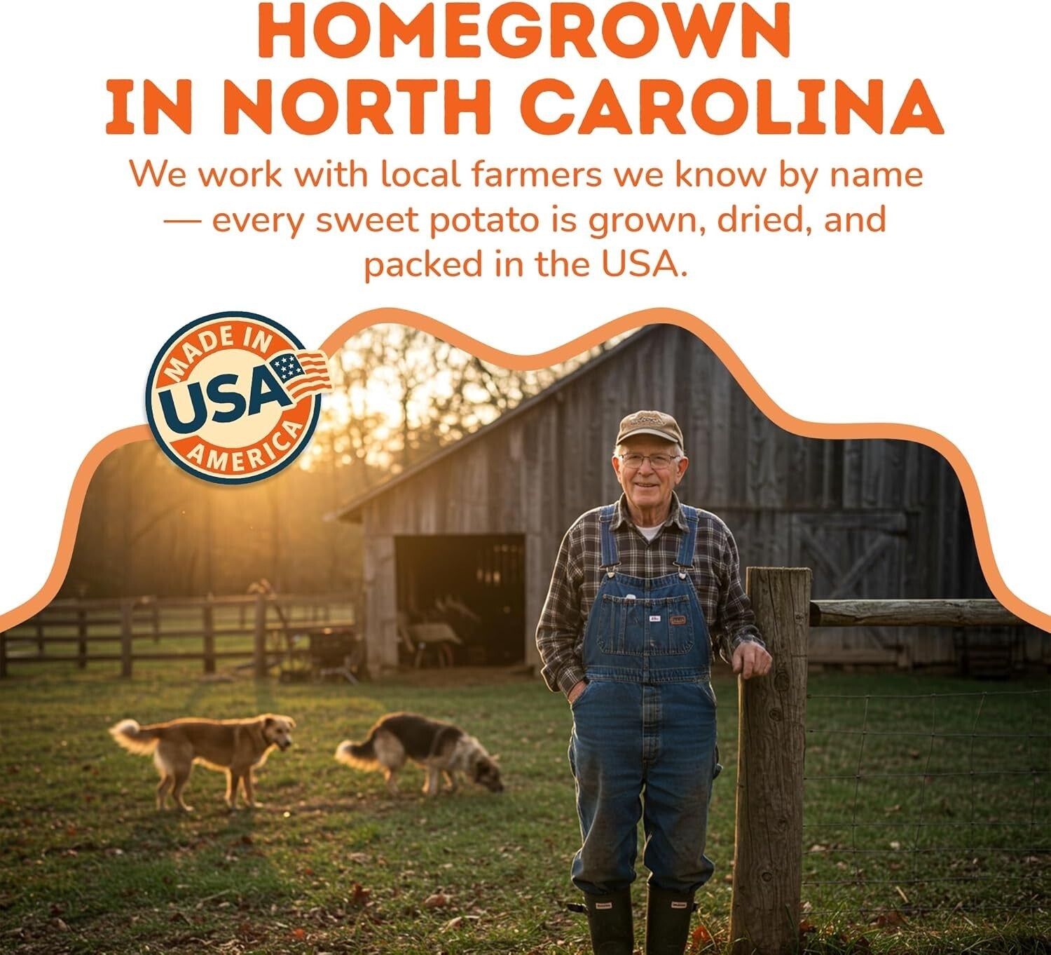 Healthy Sweet Potato Chews for Dogs - Grain-Free, Vegetarian Treats - 2 lb Pack