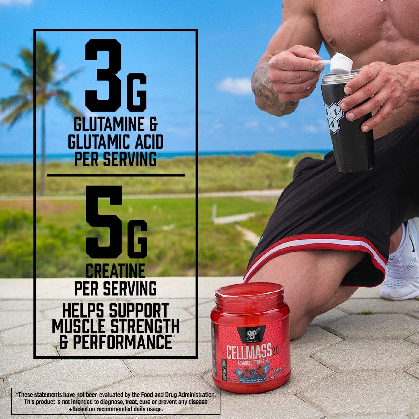 CELLMASS 2.0 Arctic Berry - 25 Servings of Advanced Post-Workout Recovery Powder